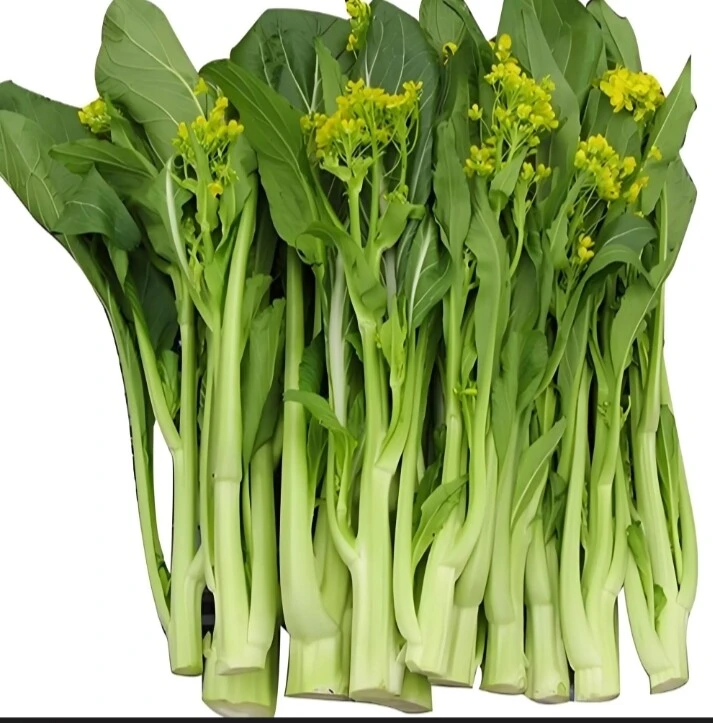 迟菜芯