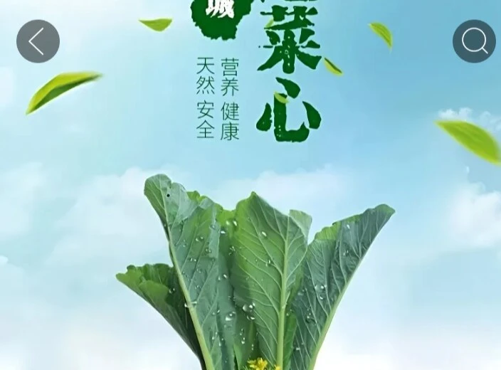 迟菜芯