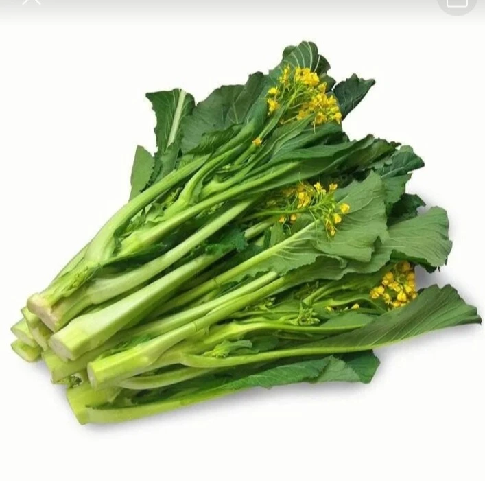 迟菜芯