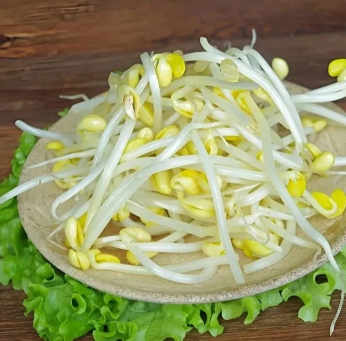 豆芽