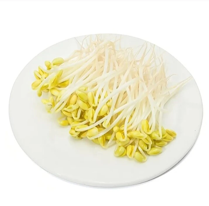 豆芽