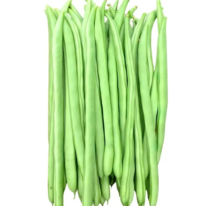 四季豆