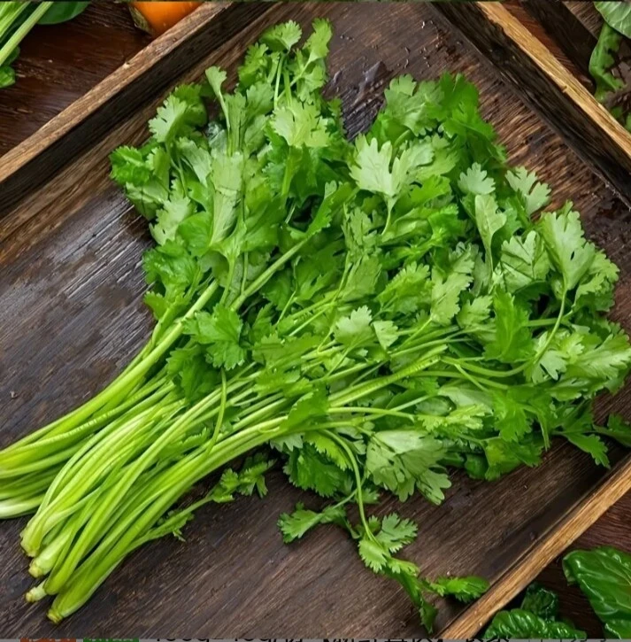 香菜