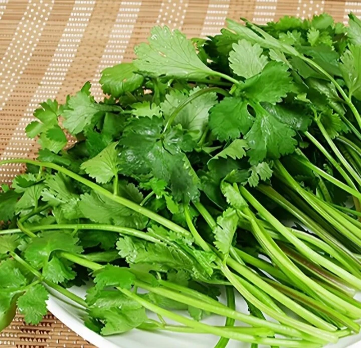 香菜