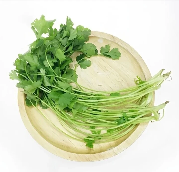 香菜