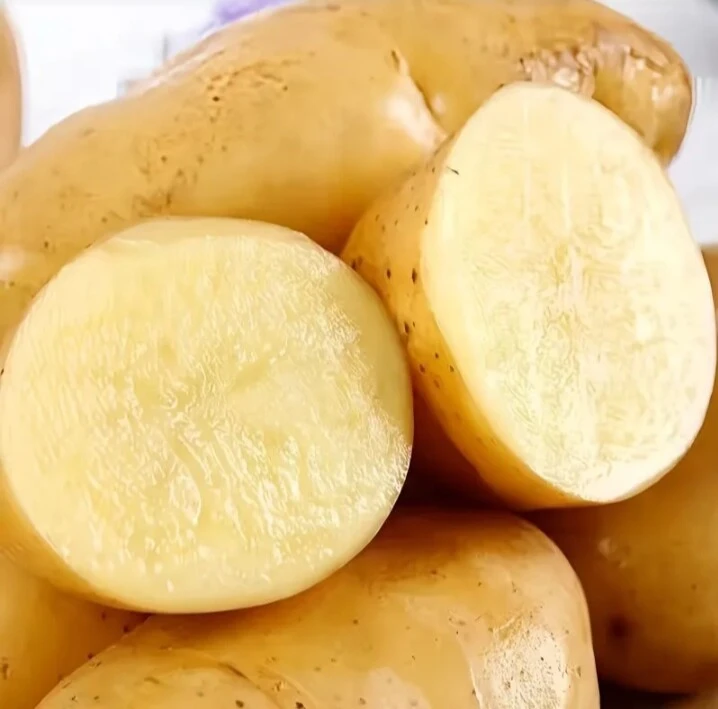 土豆