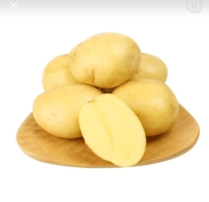 土豆