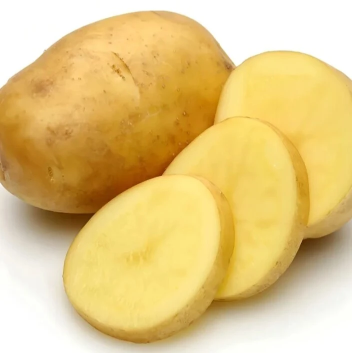 土豆