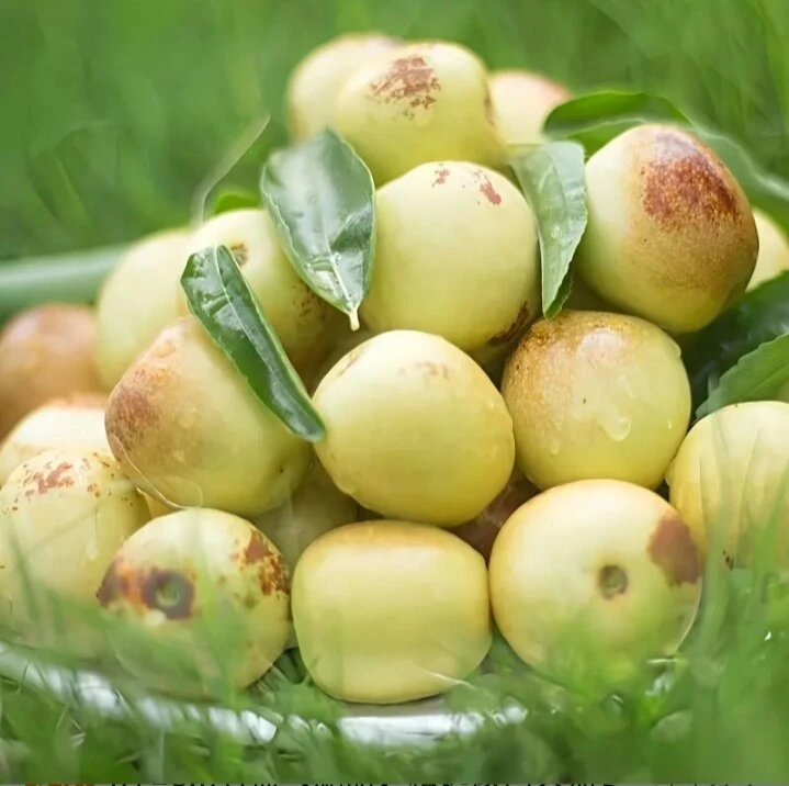 冬枣