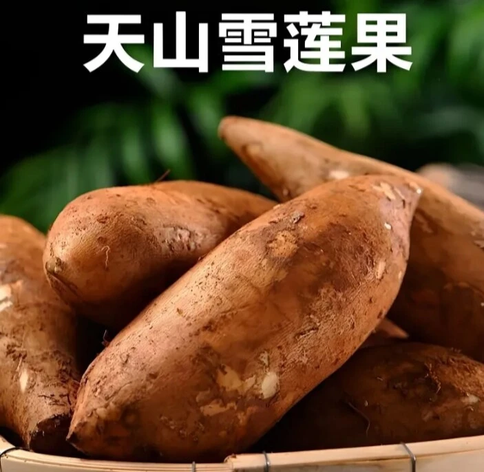 雪莲