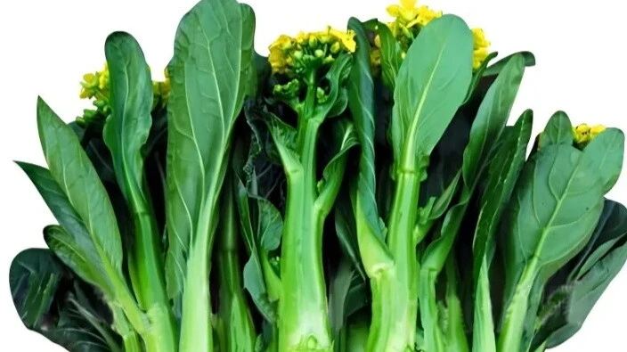 精选蔬菜
