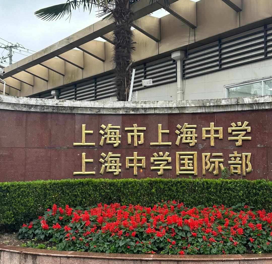 2025年上海市重点高中综评录取人数统计，附985高校招生计划数