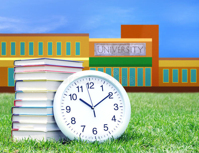 最新上海16区优质小学汇总