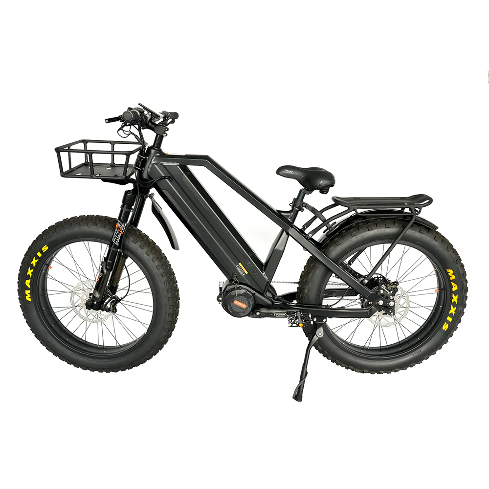 48V 1000W Bafang M620 Mid Motor Ebike With Dual Loong Batteries 48V15Ah*2pcs