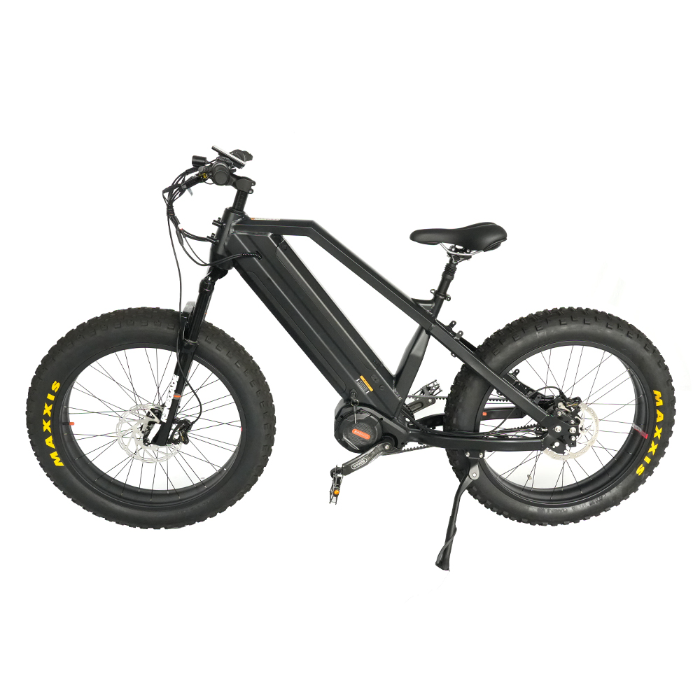 Dual Battery 48V 1000W Mid Drive Fat Tire Electric Bike with Rohloff IGH 14 Speeds Hub