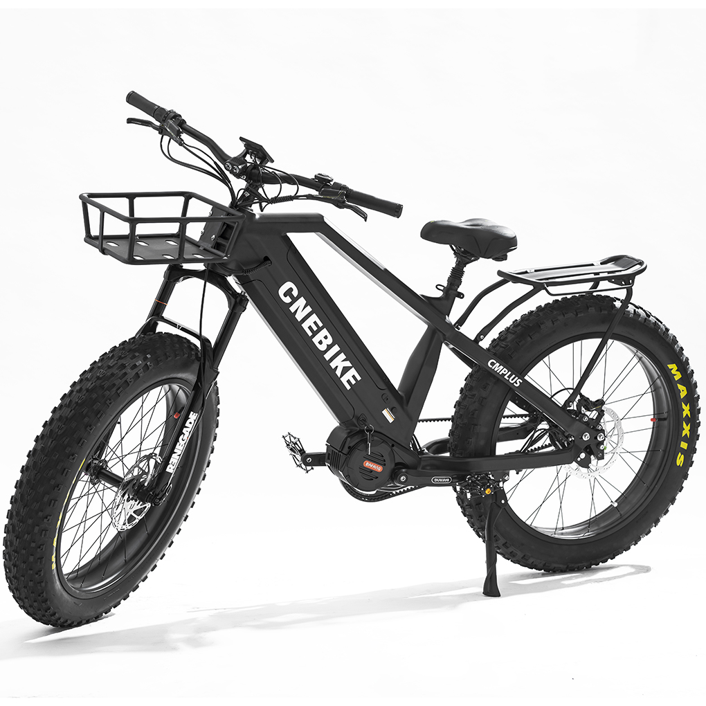 Dual Battery 48V 1000W Mid Drive Fat Tire Electric Bike with Rohloff IGH 14 Speeds Hub