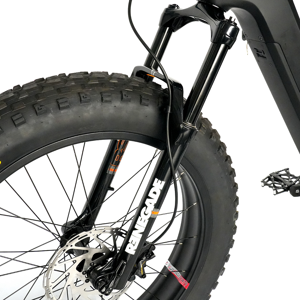 Carbon Fiber Frame Electric Bike 48V 1000W Full Suspension Electric Bicycle Bafang M620 Mid motor Fat Tyre Ebike