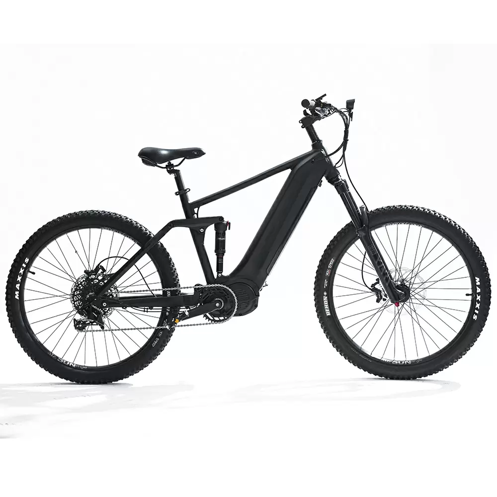 8fun electric bike online