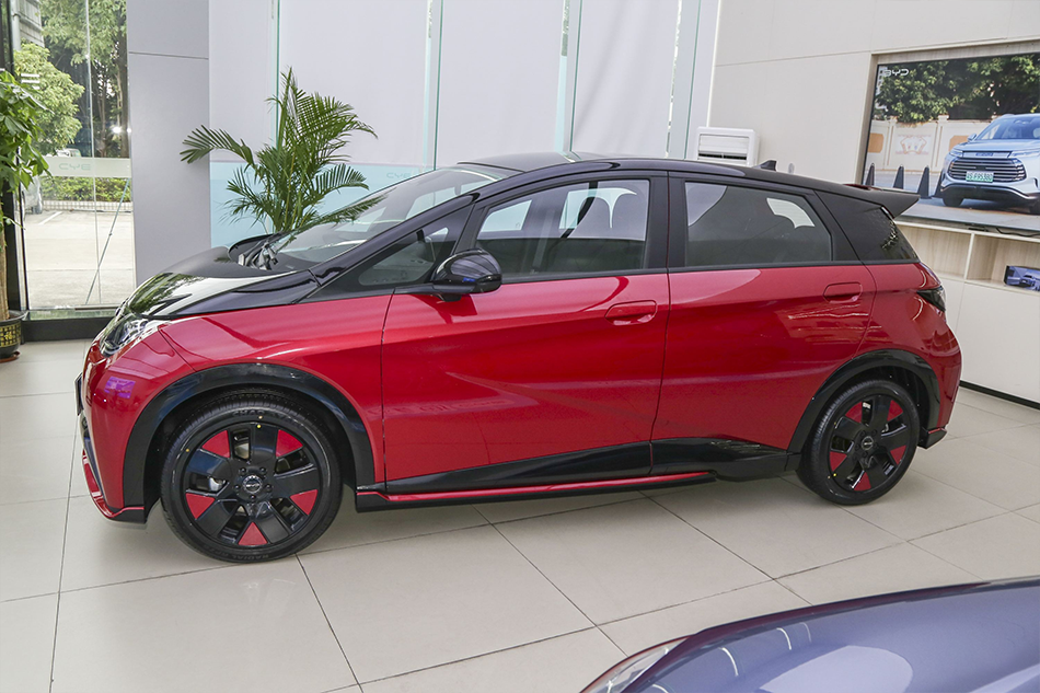 БИД Дельфин