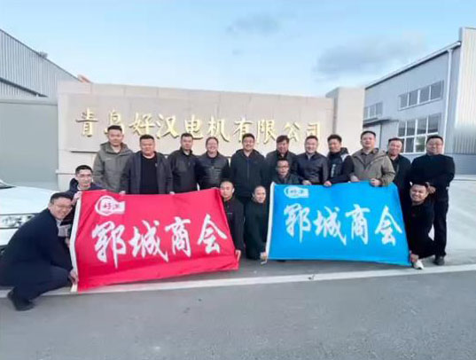 青岛好汉电机有限公司