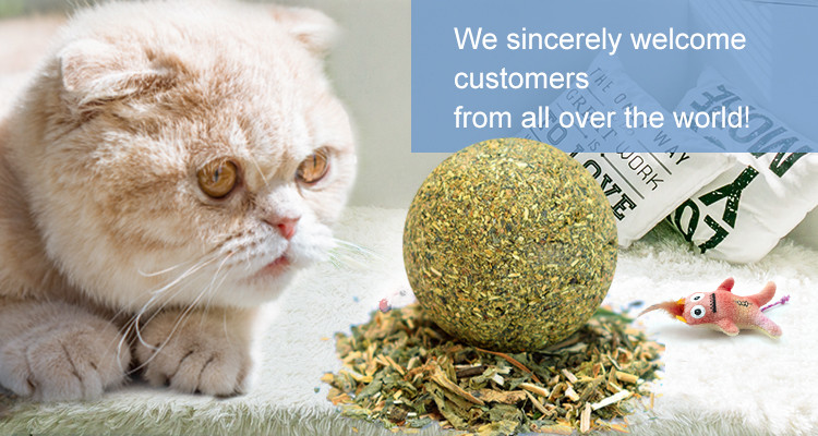 Custom Environmentally Friendly Interactive Premium Food Hemp Catnip Cat Toys