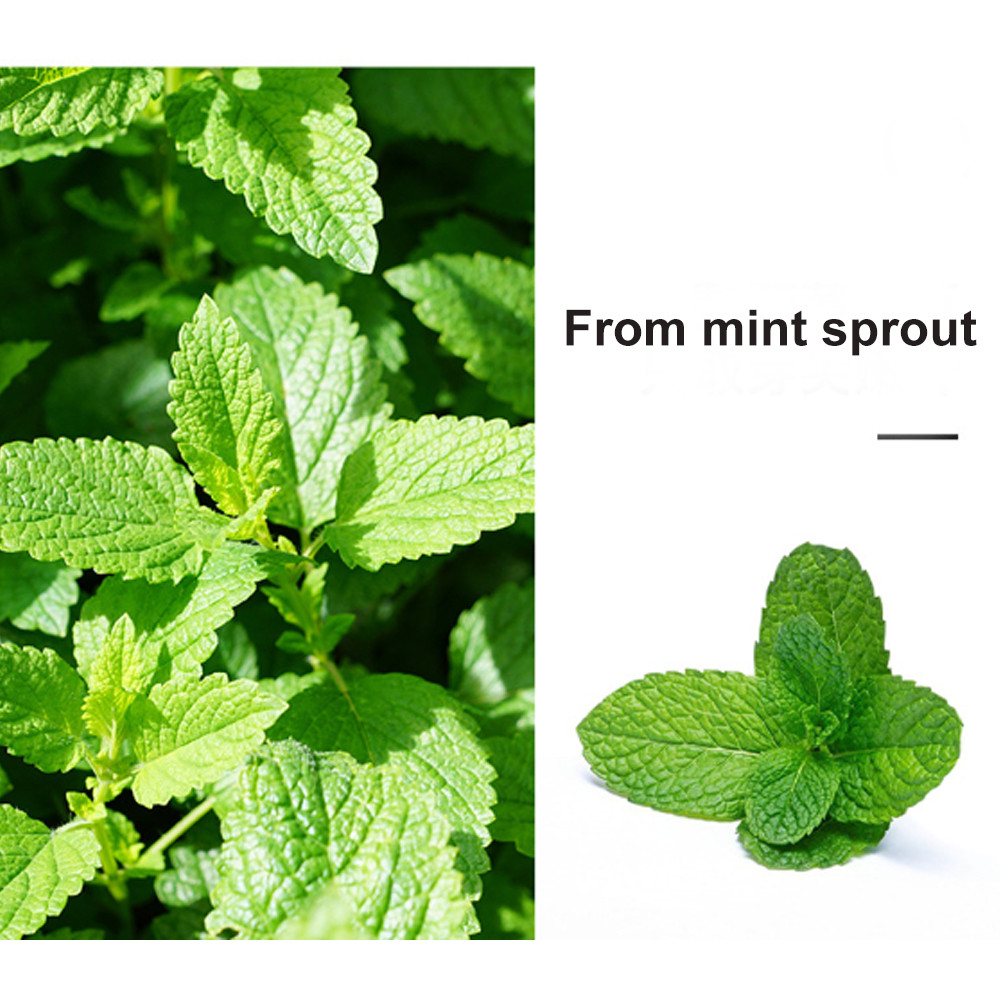Custom Environmentally Friendly Interactive Premium Food Hemp Catnip Cat Toys