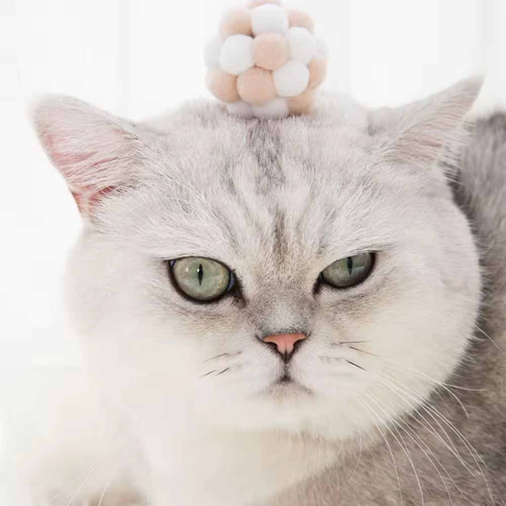 Interactive Plush Squeaky Handmade Bouncy Cat Ball Hunt Toy For Training