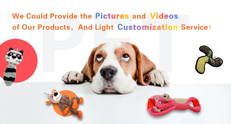 High Quality Intelligence Exercise Products Pet Dog Toys