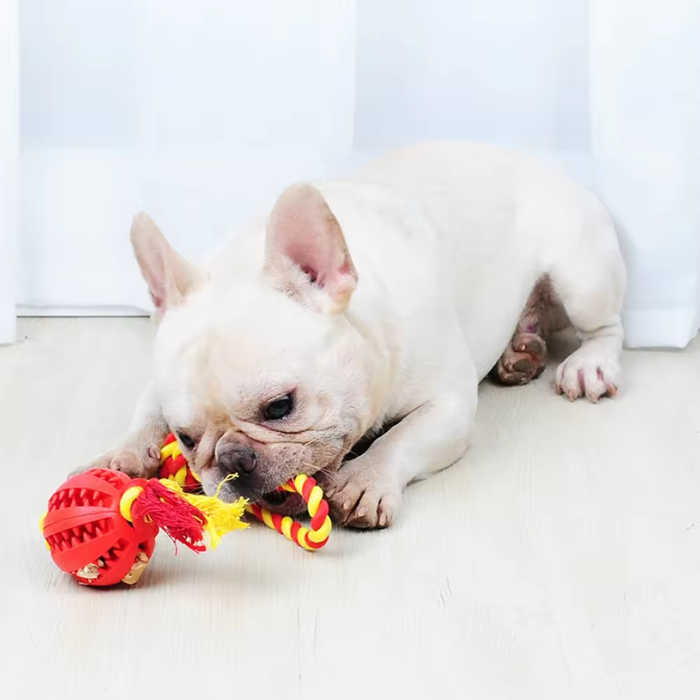 Wholesale Durable Rope Ball Food Leakage Tooth Cleaning Bulk Chew Pet Dog Toys