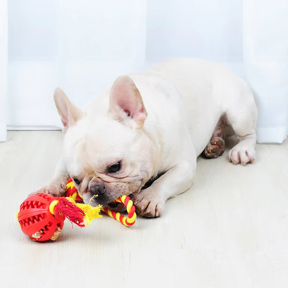Wholesale Durable Rope Ball Food Leakage Tooth Cleaning Bulk Chew Pet Dog Toys