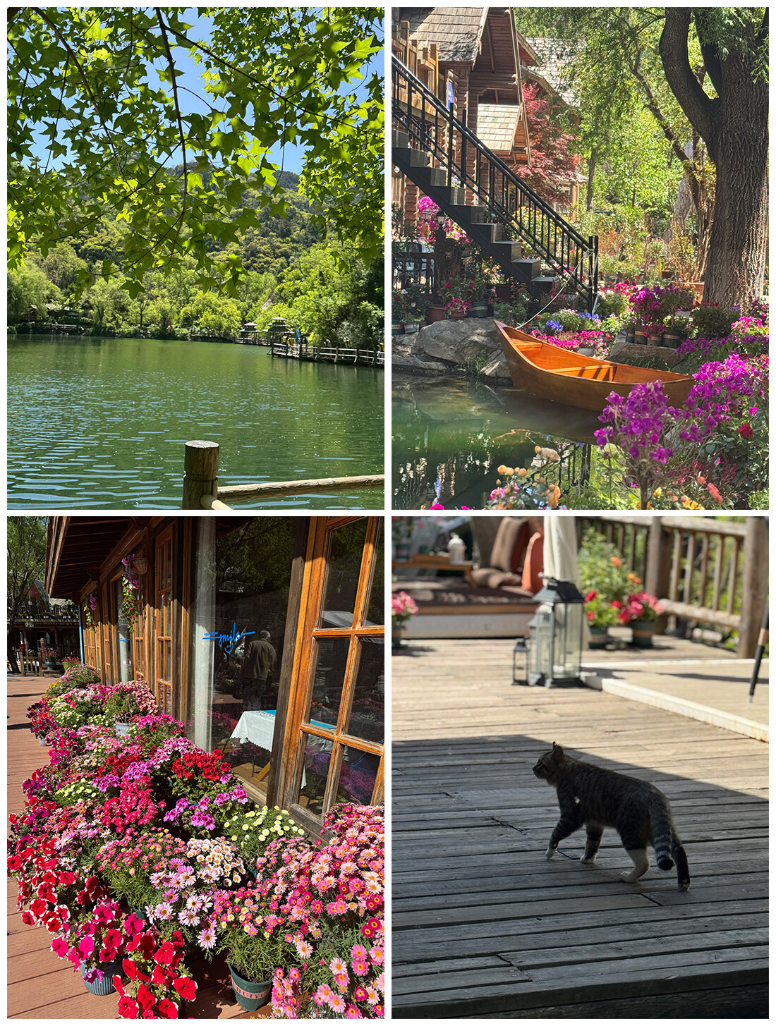 图片2.jpg 图片2.jpg