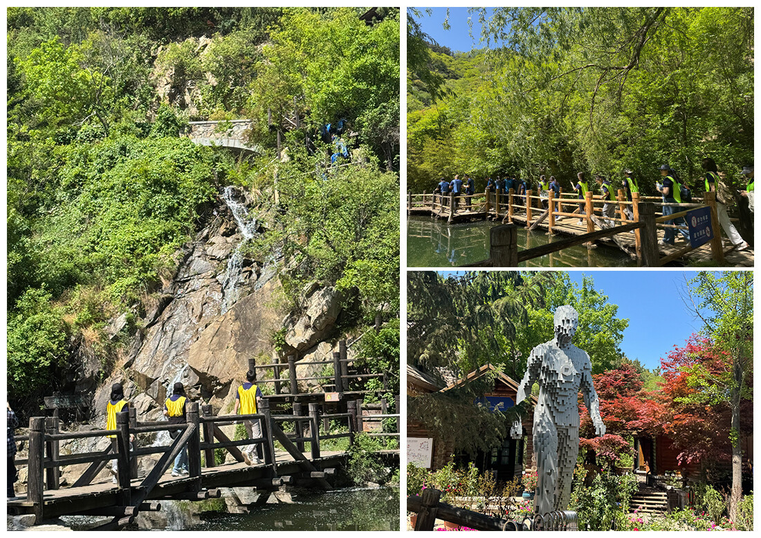 图片9.jpg 图片9.jpg