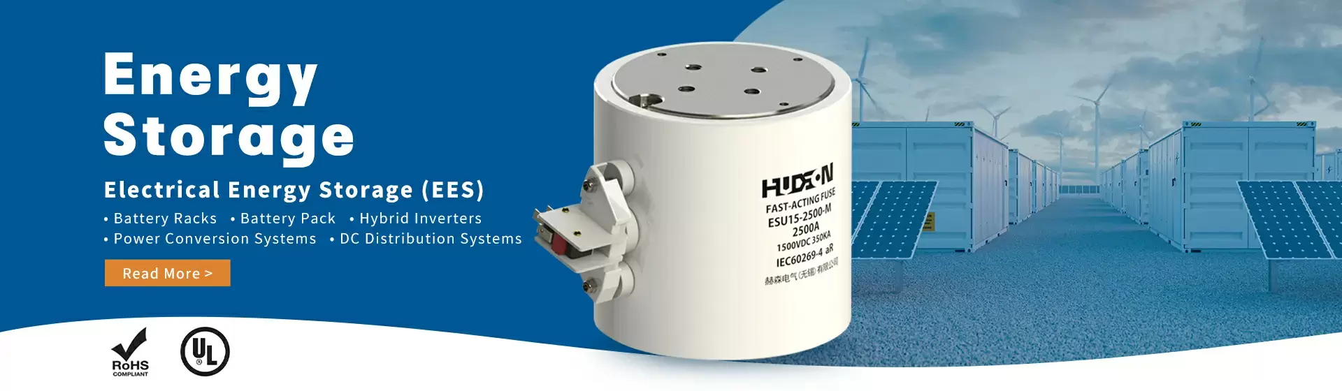 Electric Energy Storage (ESS)