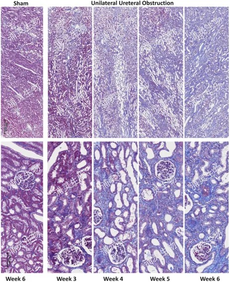 640?wx_fmt=png&from=appmsg&tp=webp&wxfrom=5&wx_lazy=1&wx_co=1 640?wx_fmt=png&from=appmsg&tp=webp&wxfrom=5&wx_lazy=1&wx_co=1