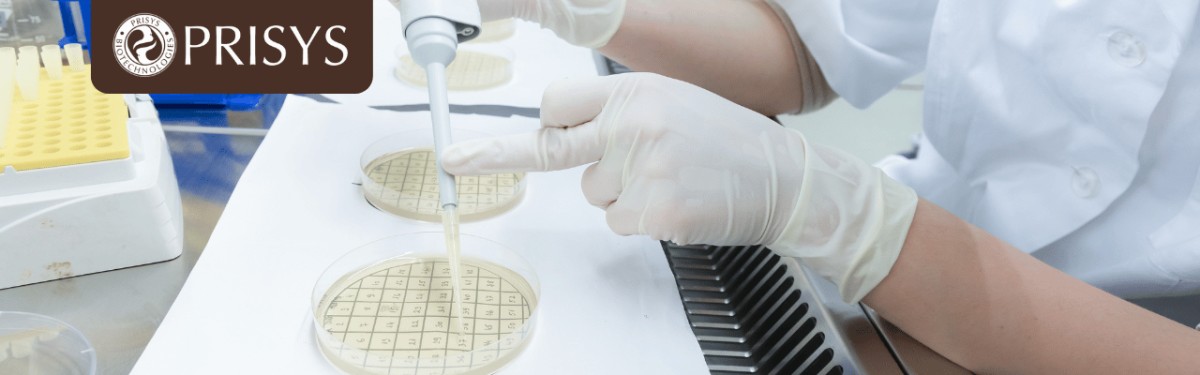 Human Disease Animal Models-2.png Human Disease Animal Models-2.png