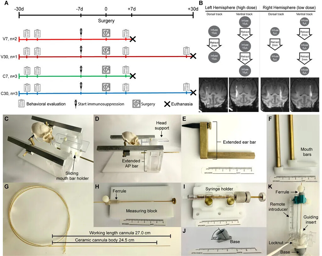 640?wx_fmt=jpeg&tp=webp&wxfrom=5&wx_lazy=1&wx_co=1 640?wx_fmt=jpeg&tp=webp&wxfrom=5&wx_lazy=1&wx_co=1