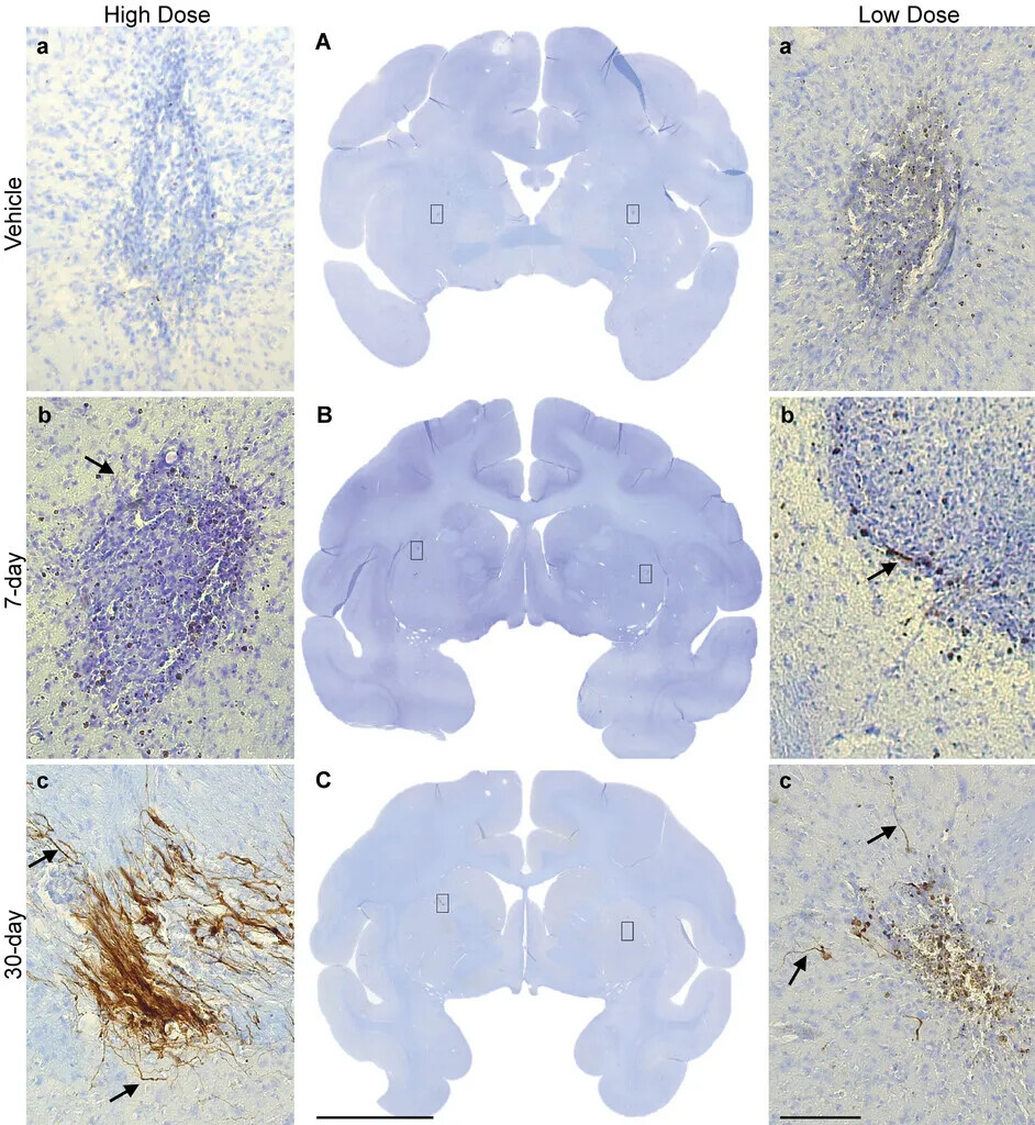 640?wx_fmt=jpeg&tp=webp&wxfrom=5&wx_lazy=1&wx_co=1 640?wx_fmt=jpeg&tp=webp&wxfrom=5&wx_lazy=1&wx_co=1