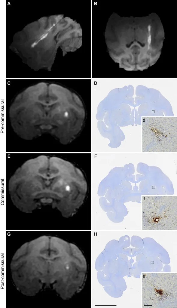 640?wx_fmt=jpeg&tp=webp&wxfrom=5&wx_lazy=1&wx_co=1 640?wx_fmt=jpeg&tp=webp&wxfrom=5&wx_lazy=1&wx_co=1