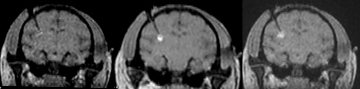 微信截图_20240906095254.jpg 微信截图_20240906095254.jpg