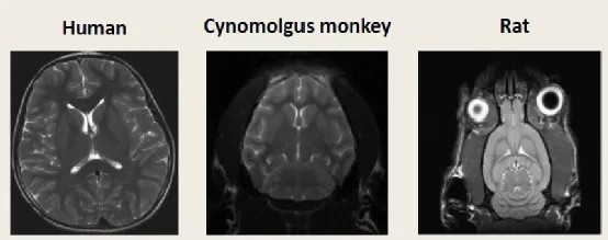 640?wx_fmt=png&tp=webp&wxfrom=10005&wx_lazy=1&wx_co=1