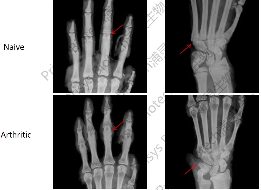 640?wx_fmt=png&tp=webp&wxfrom=10005&wx_lazy=1&wx_co=1