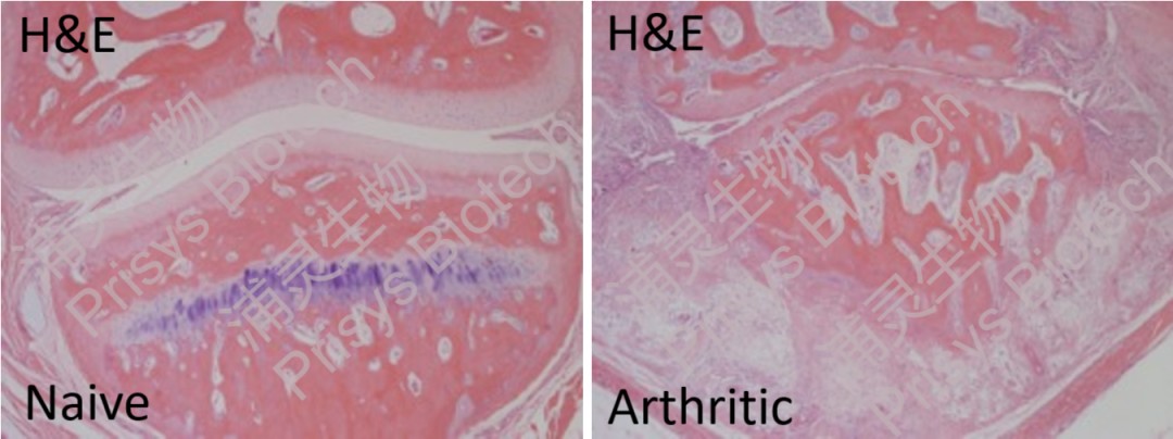 640?wx_fmt=png&from=appmsg&tp=webp&wxfrom=10005&wx_lazy=1&wx_co=1