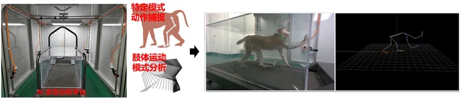 640?wx_fmt=png&from=appmsg&tp=webp&wxfrom=10005&wx_lazy=1&wx_co=1