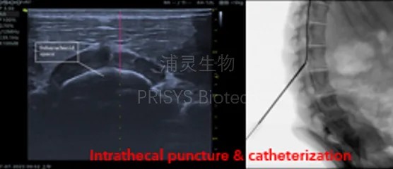 640?wx_fmt=png&tp=webp&wxfrom=10005&wx_lazy=1 640?wx_fmt=png&tp=webp&wxfrom=10005&wx_lazy=1