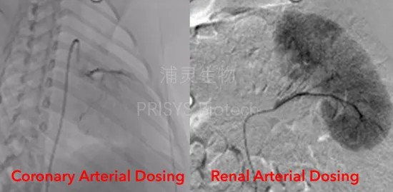 640?wx_fmt=png&tp=webp&wxfrom=10005&wx_lazy=1 640?wx_fmt=png&tp=webp&wxfrom=10005&wx_lazy=1