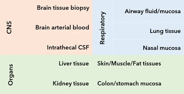 640?wx_fmt=png&tp=webp&wxfrom=10005&wx_lazy=1 640?wx_fmt=png&tp=webp&wxfrom=10005&wx_lazy=1
