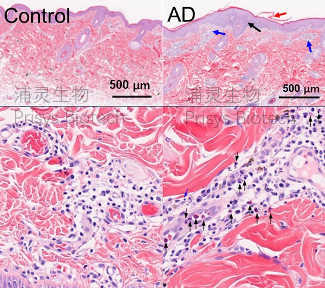 640?wx_fmt=png&from=appmsg&tp=wxpic&wxfrom=10005&wx_lazy=1