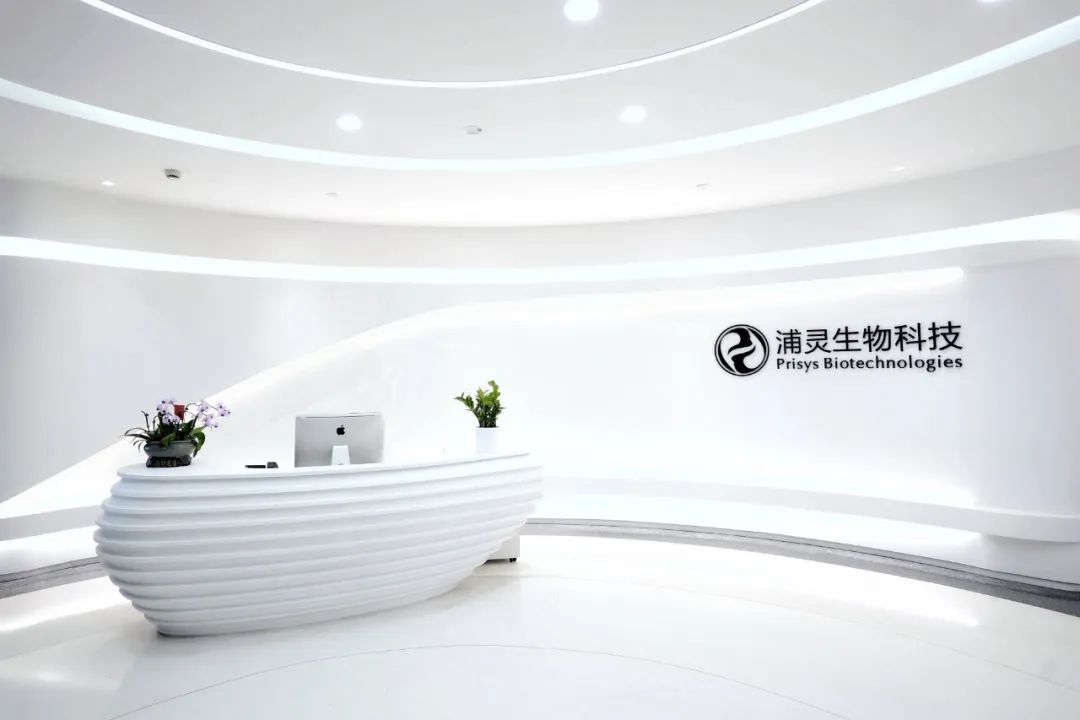 脑定位给药技术 | 浦灵生物非人灵长类临床前研究