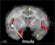 640?wx_fmt=png&from=appmsg&randomid=x3160q9q&tp=wxpic&wxfrom=10005&wx_lazy=1 640?wx_fmt=png&from=appmsg&randomid=x3160q9q&tp=wxpic&wxfrom=10005&wx_lazy=1