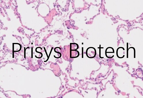 PixPin_2025-07-30_12-50-45 PixPin_2025-07-30_12-50-45